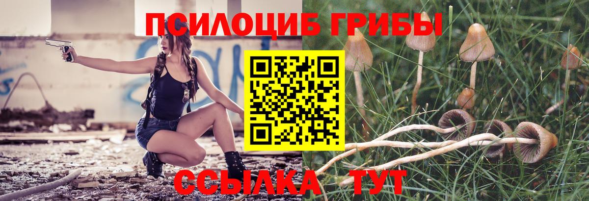 Псилоцибиновые грибы мицелий  дарнет шоп  Унеча  Вход с VPN 
